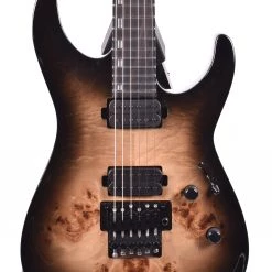 ESP/LTD H-1001FR, Black Natural Burst