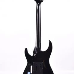 ESP/LTD H-1001FR, Black Natural Burst