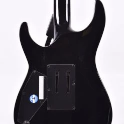 ESP/LTD H-1001FR, Black Natural Burst