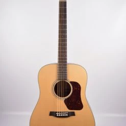 Walden D-710 With Gigbag Acoustic Guitars