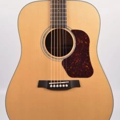 Walden D-710 With Gigbag Acoustic Guitars