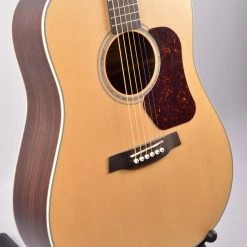 Walden D-710 With Gigbag Acoustic Guitars