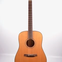 Acoustic Guitars Walden D-2040 With Hardshell Case