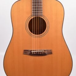 Acoustic Guitars Walden D-2040 With Hardshell Case
