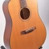 Acoustic Guitars Walden D-2040 With Hardshell Case