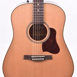 Seagull Coastline Momentum HG AE Acoustic Guitars