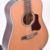 Seagull Coastline Momentum HG AE Acoustic Guitars