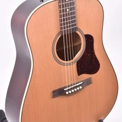 Seagull Coastline Momentum HG AE Acoustic Guitars
