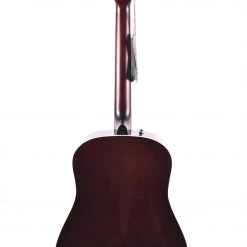 Seagull Coastline Momentum HG AE Acoustic Guitars